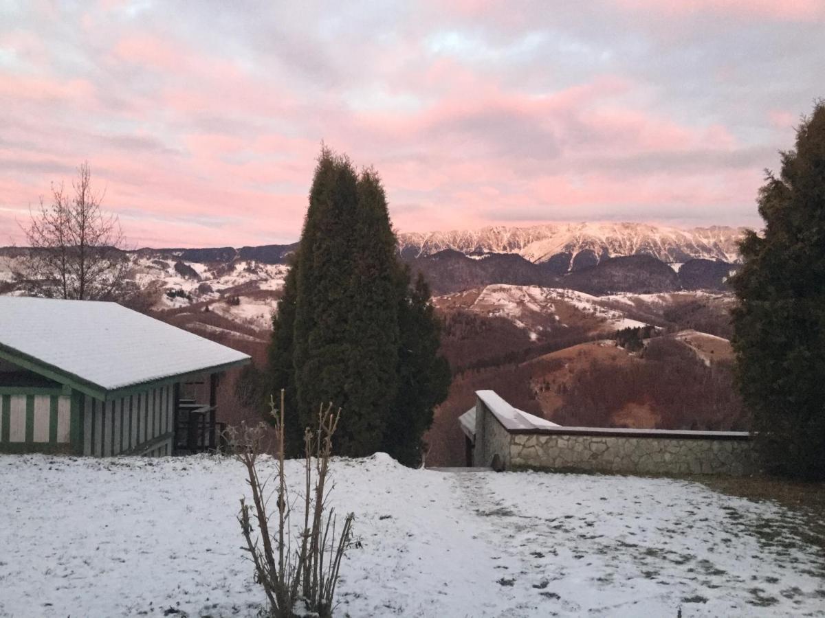 Drumul Carului Villa Alsómoécs Kültér fotó